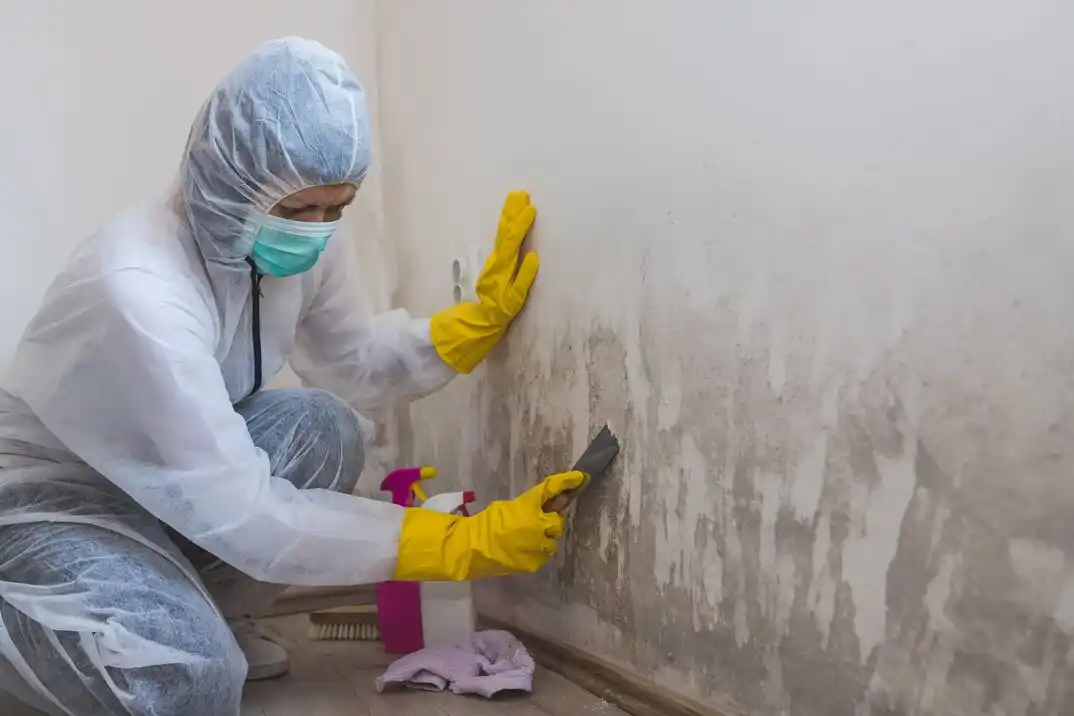 water damage restoration service Academy Park